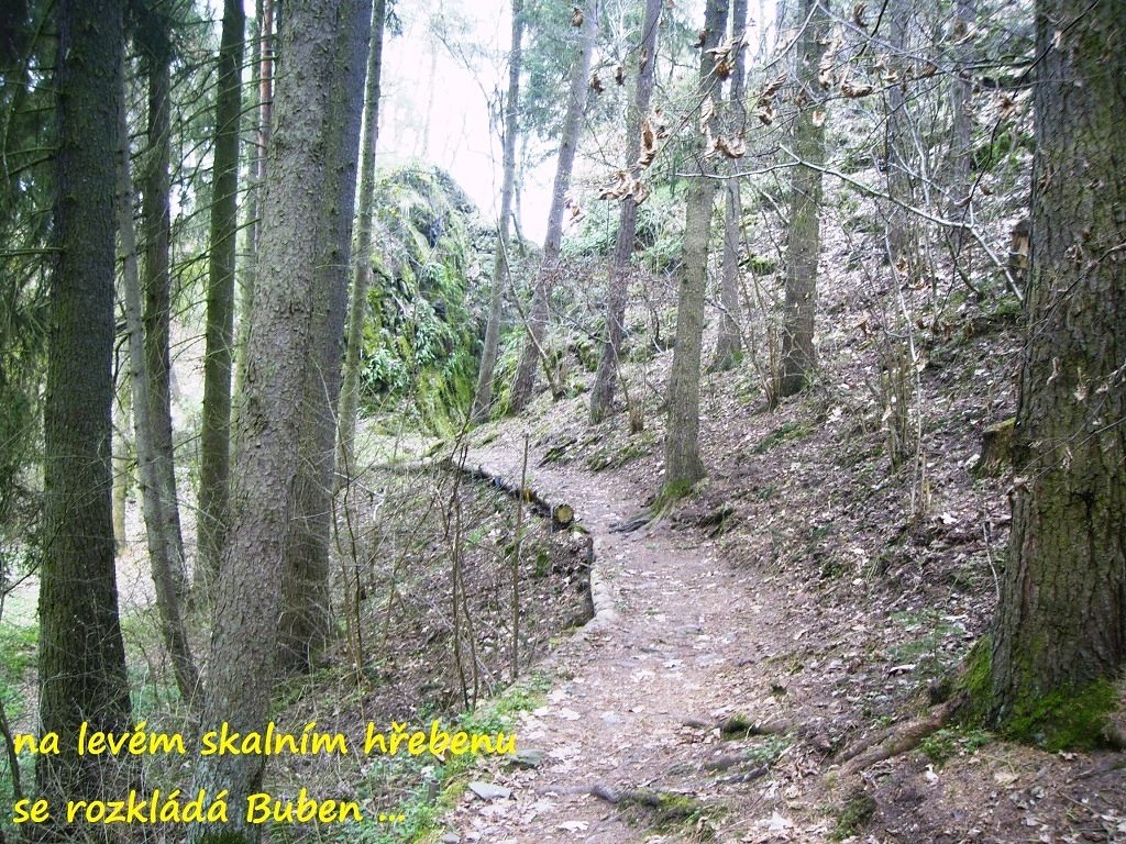 buben_2014_4