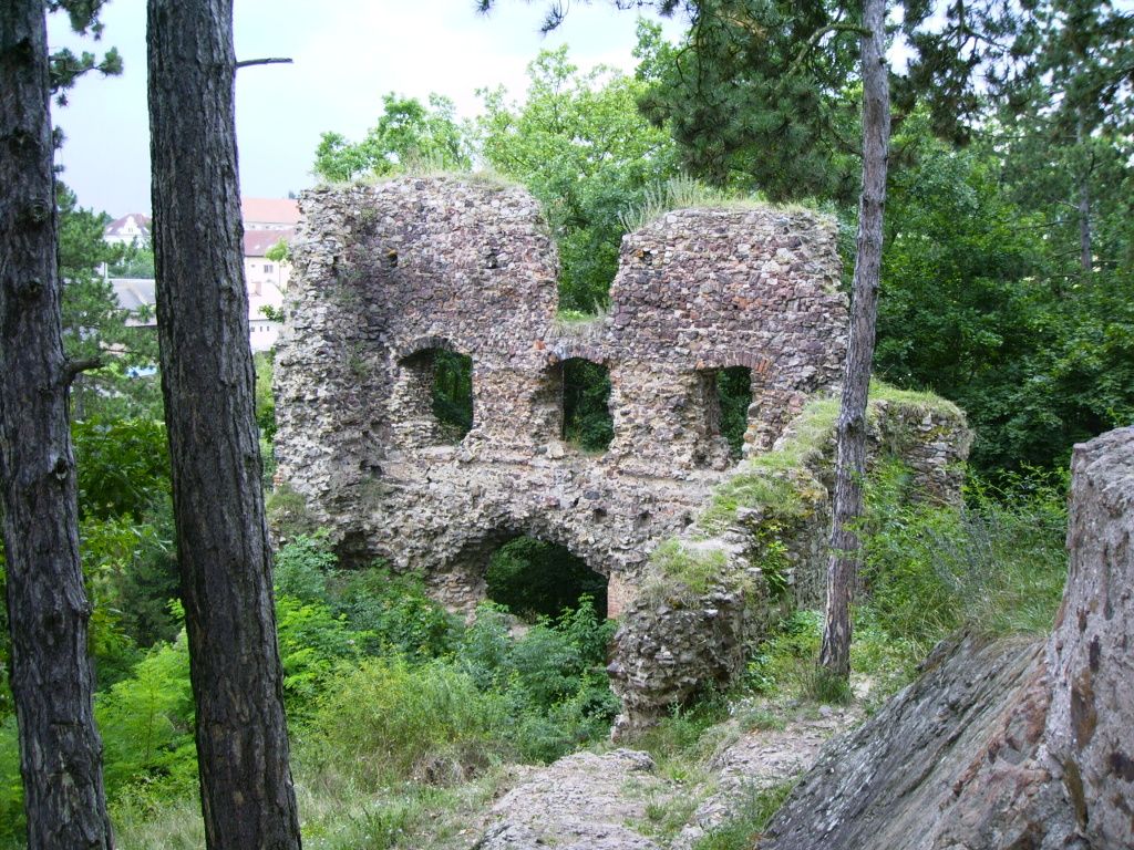 Hrad Žebrák_8
