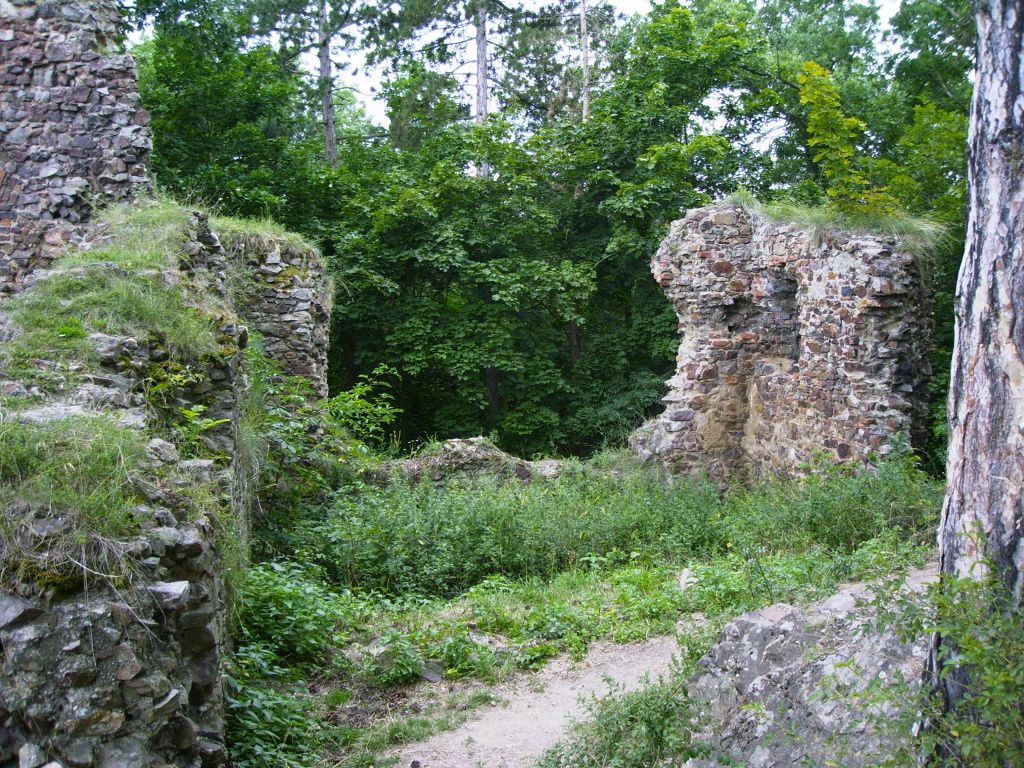 Hrad Žebrák_26