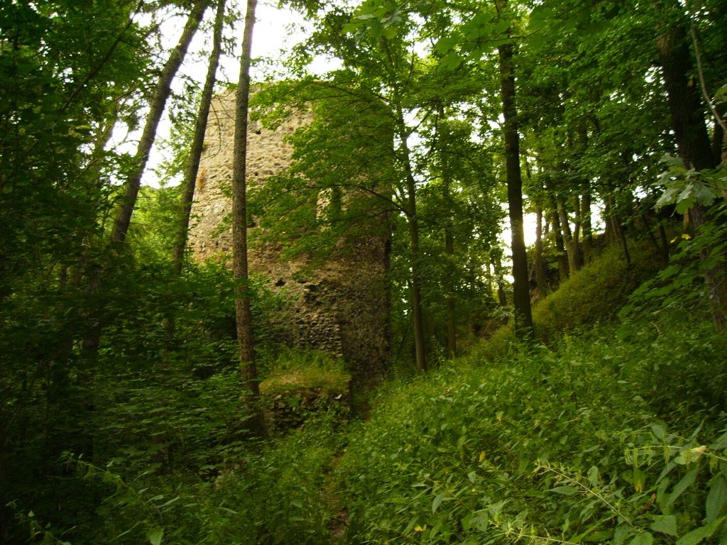 Hrad Žebrák_30