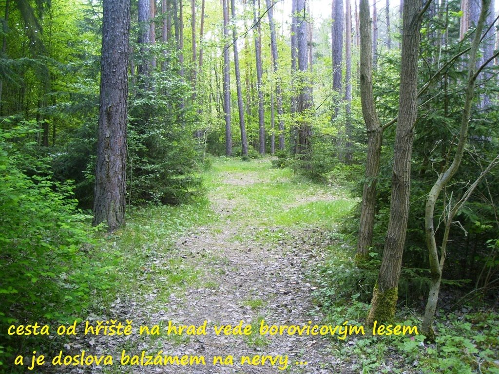 volfstejn_2014_3
