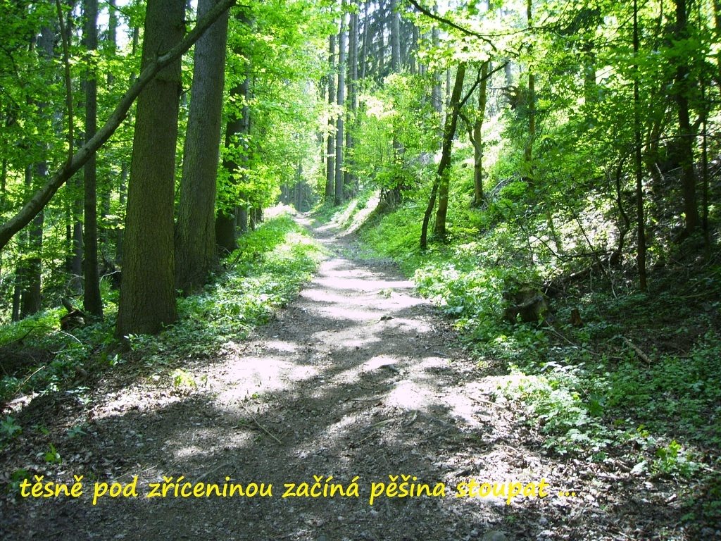 volfstejn_2014_4