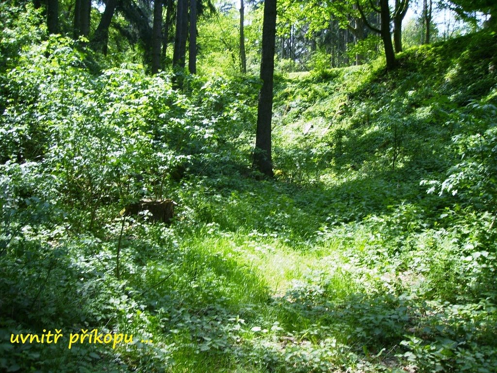 volfstejn_2014_6