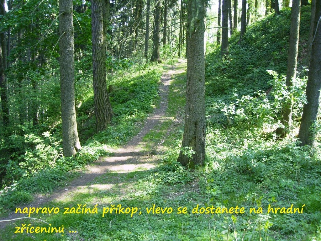 volfstejn_2014_22