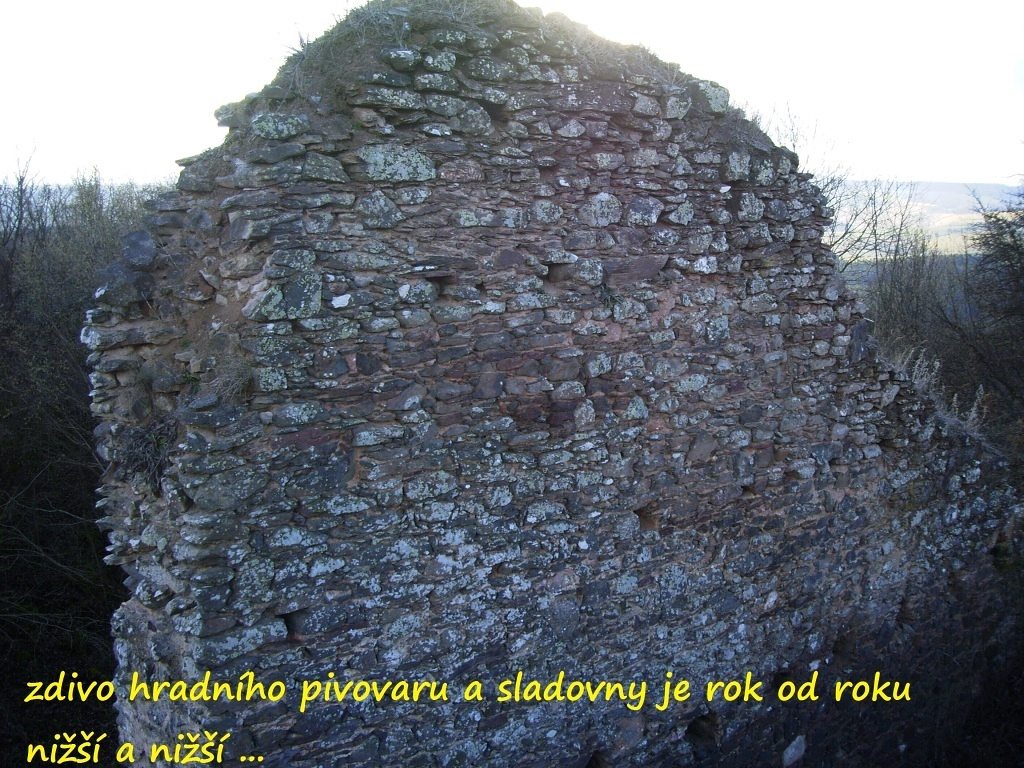 svamberk_2014_12