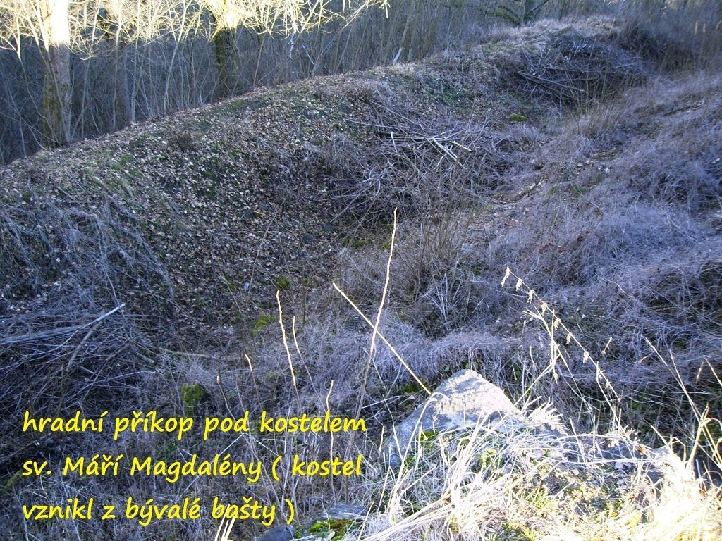 svamberk_2014_14