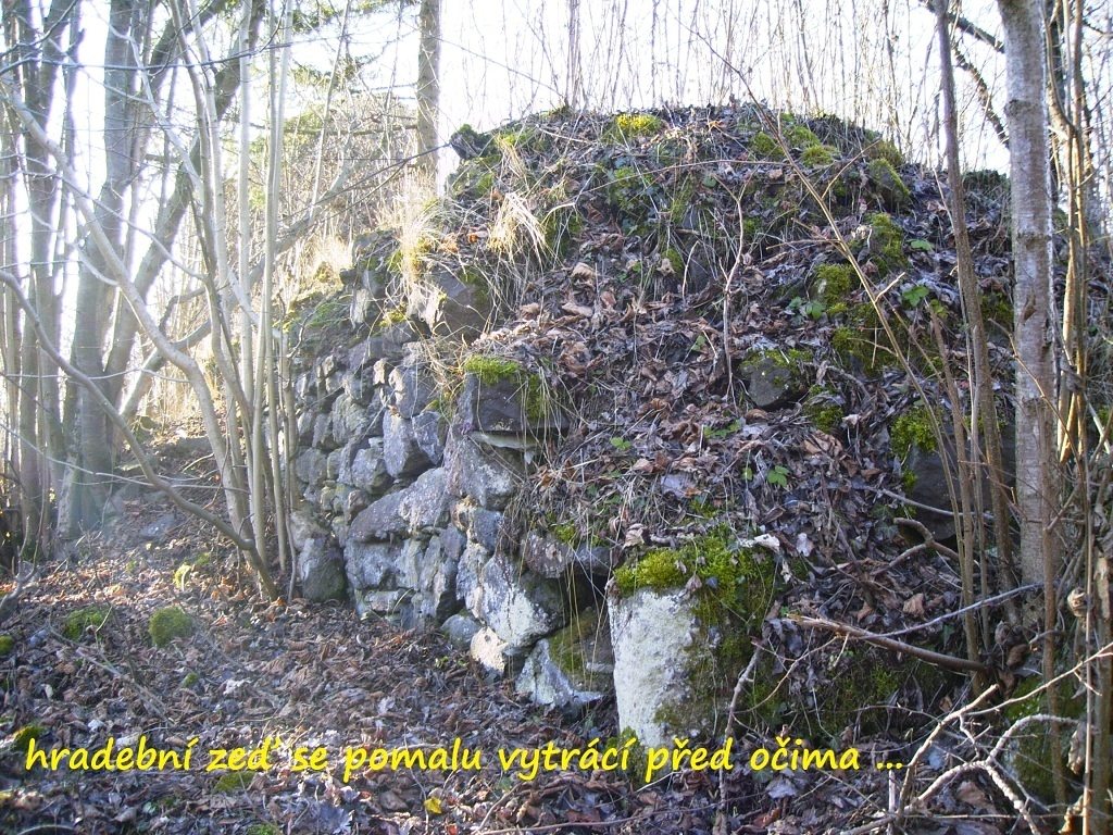 svamberk_2014_23