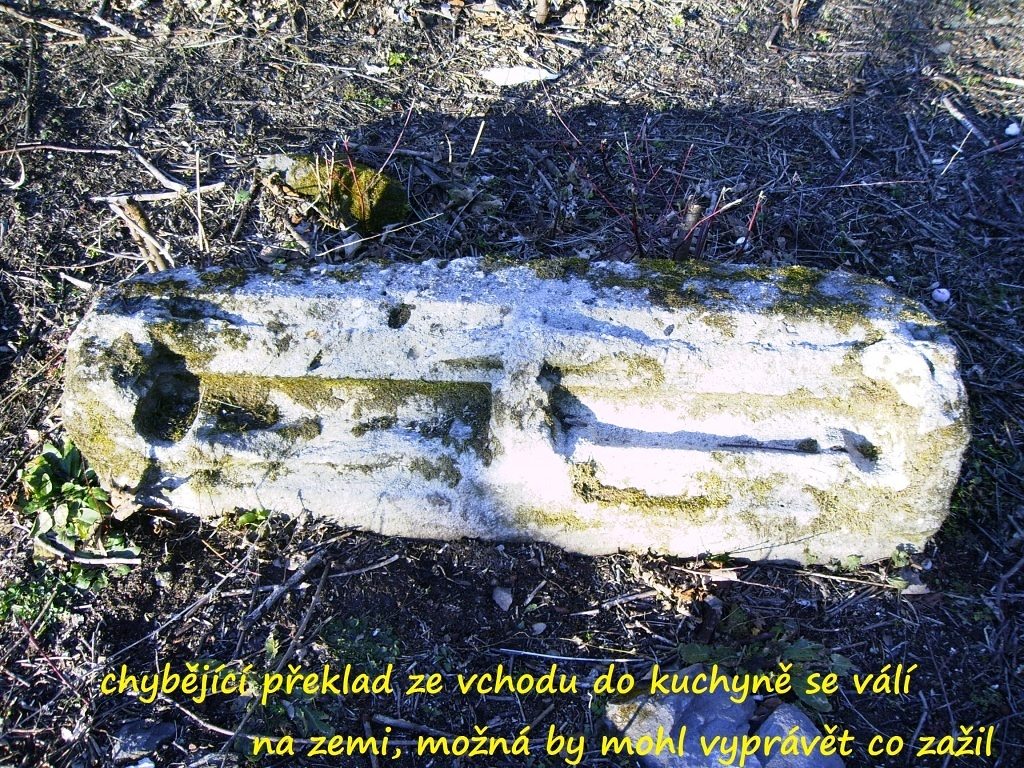 svamberk_2014_25