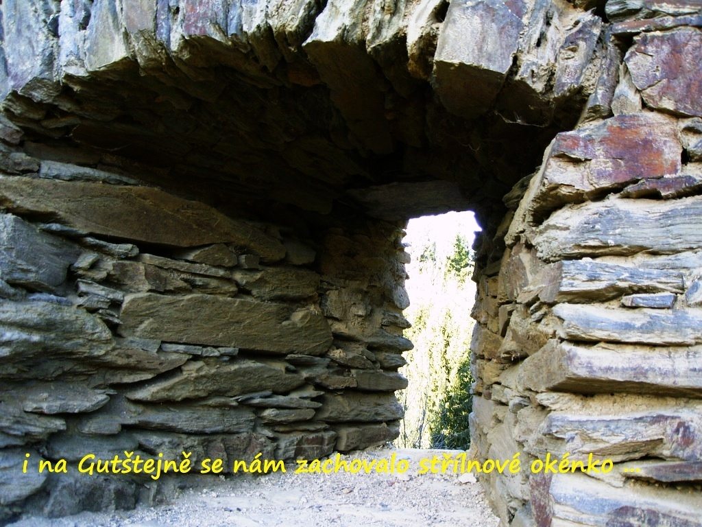 gutstejn_2014_3
