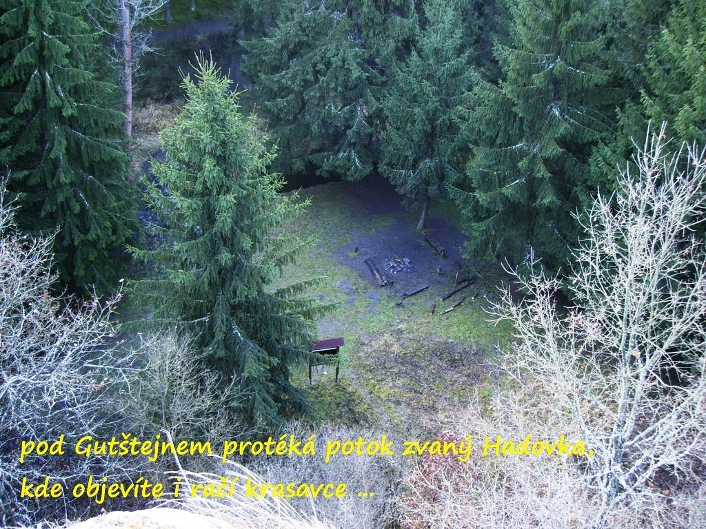 gutstejn_2014_16