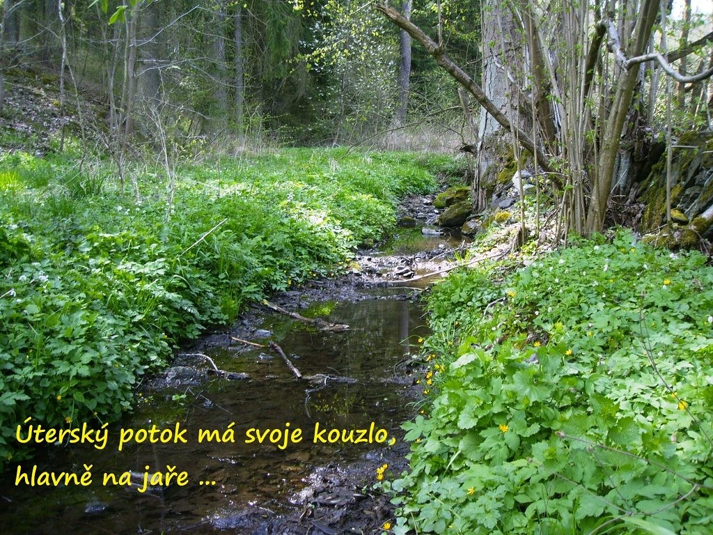 falkenstejn_2014_2