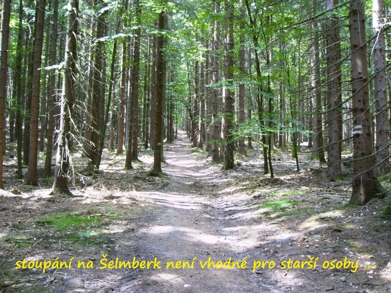 selmberk6