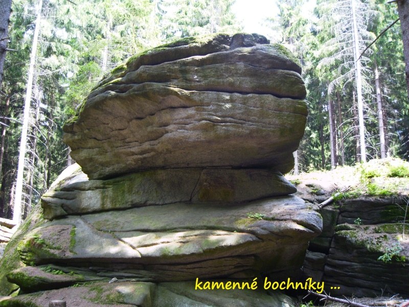 selmberk8