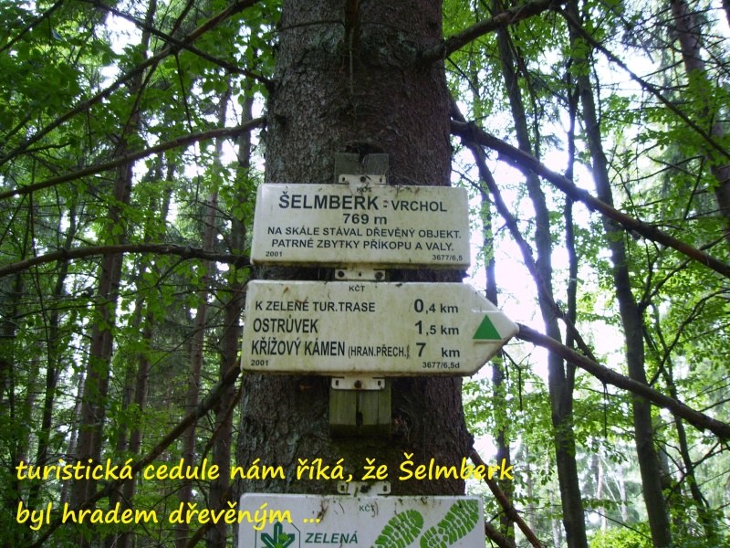 selmberk9