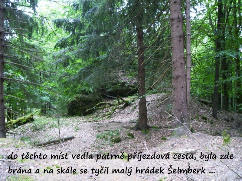 selmberk17