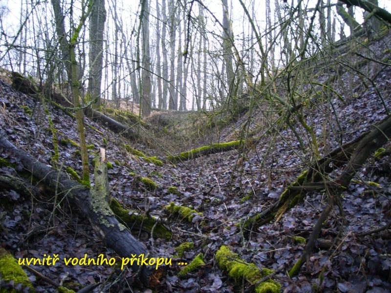 novy_hrad3