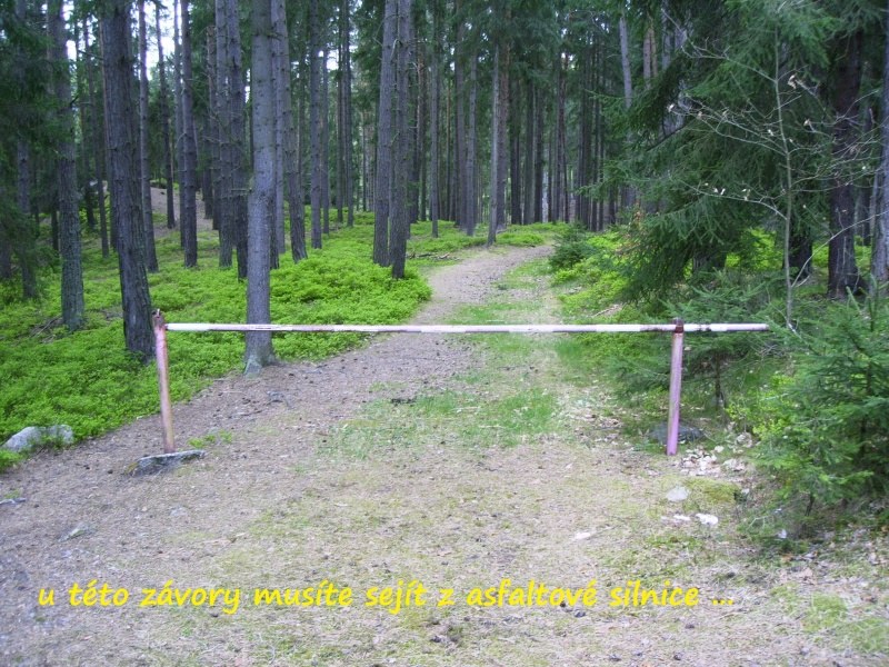 vimberk5
