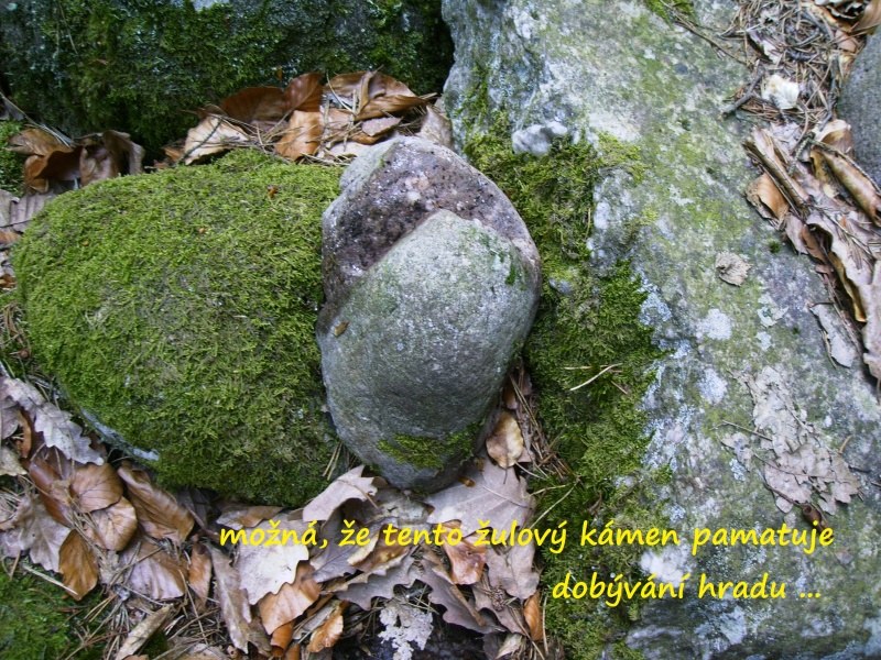 vimberk11