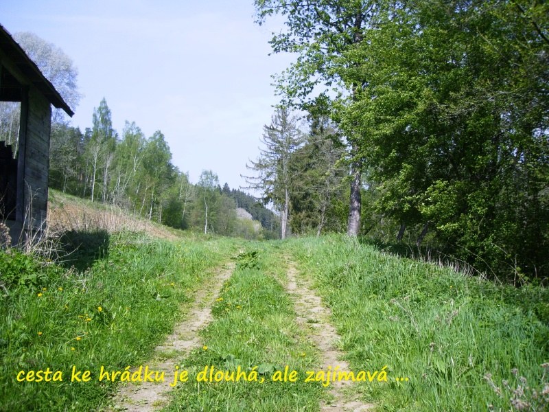 svinomazsky_hradek2