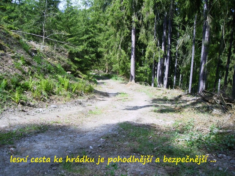svinomazsky_hradek7