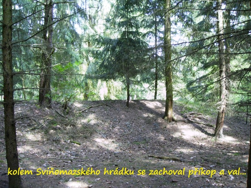 svinomazsky_hradek22