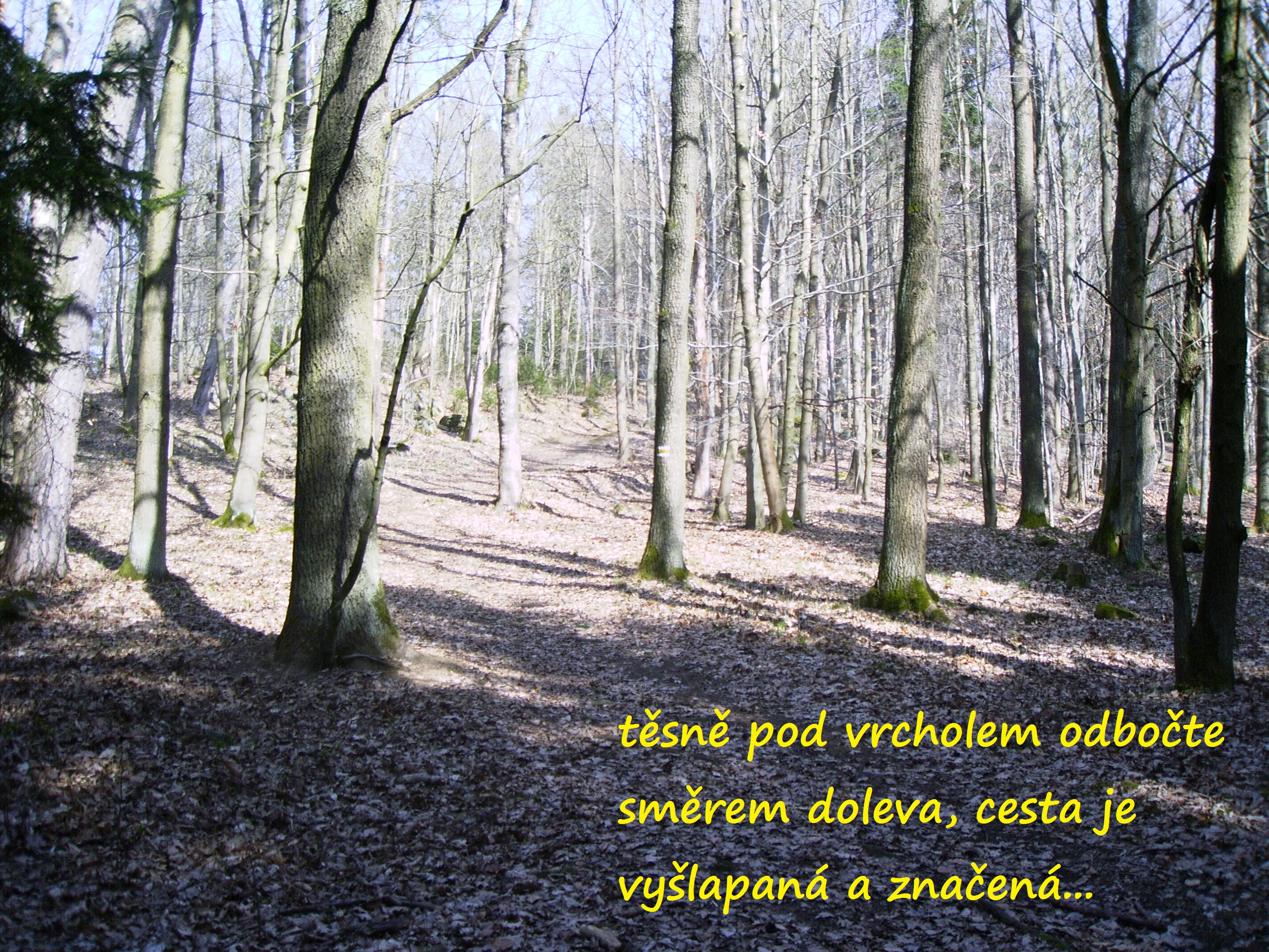Potštejn 5