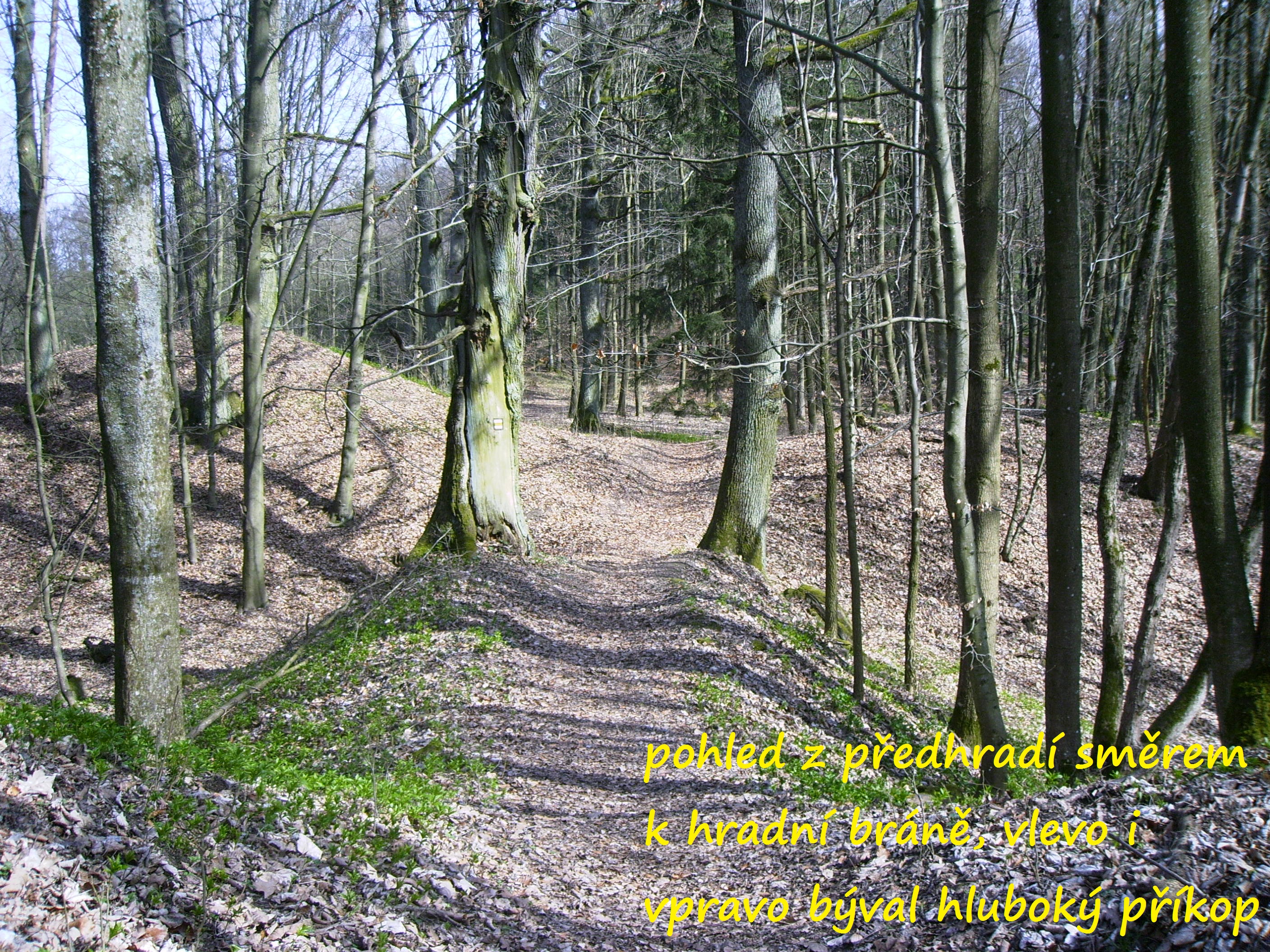 Potštejn 9