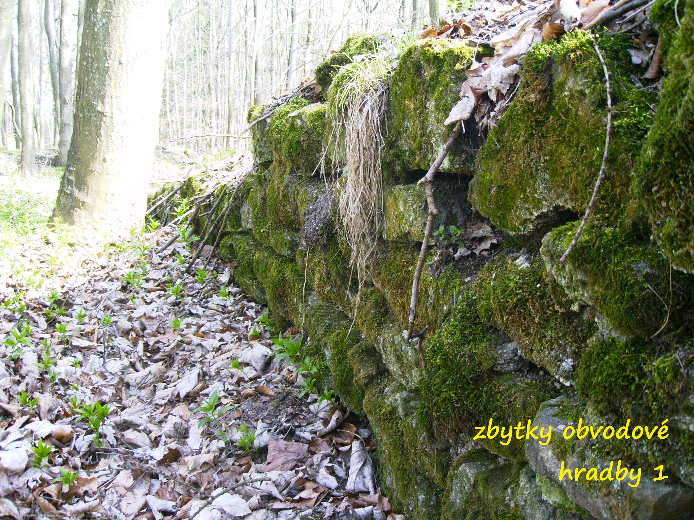Potštejn 20