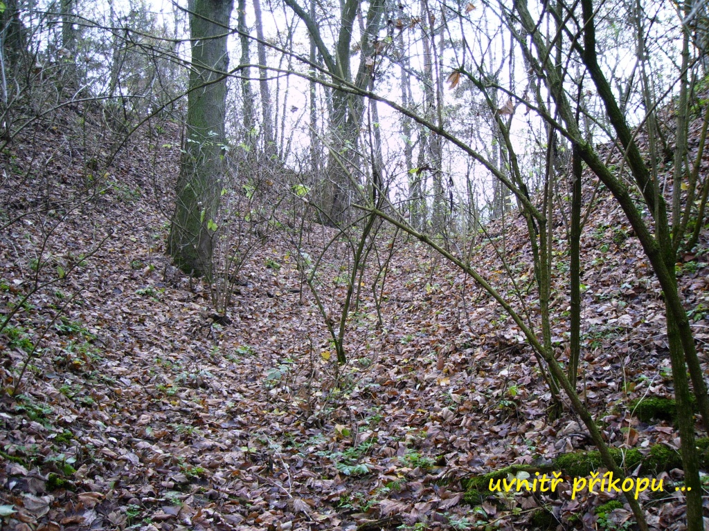 Osvračín 7