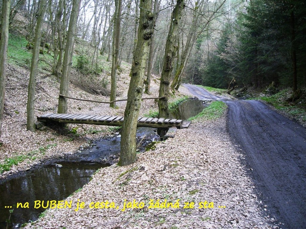 buben_2014_2
