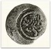 mince - haléř Karel IV. ( 1346 - 1378 )